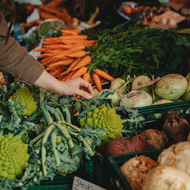 Winter Farmer's Markets